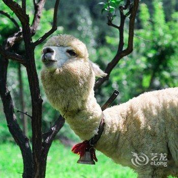 北京青山园酒店酒店提供图片