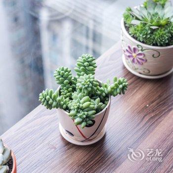 成都阳桂琼公寓酒店提供图片