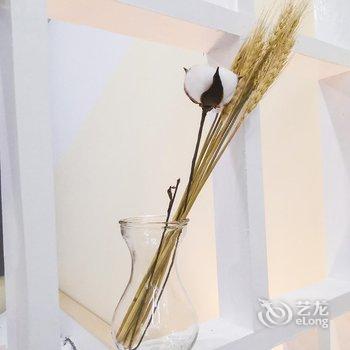 成都四海为家浪迹天涯公寓酒店提供图片