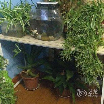青岛山海暖阳阁公寓酒店提供图片