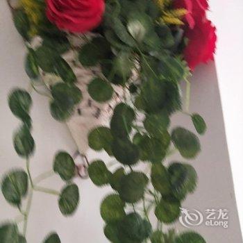 青岛依梅民宿(4号店)酒店提供图片