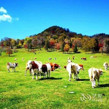 长白山108山舍酒店提供图片