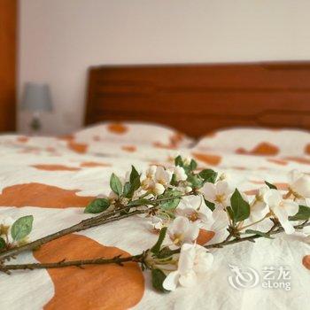 青岛彭彭小菲公寓酒店提供图片