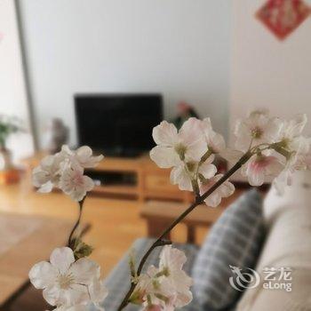 青岛彭彭小菲公寓酒店提供图片