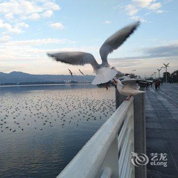 昆明生活艺术公寓(2号店)酒店提供图片