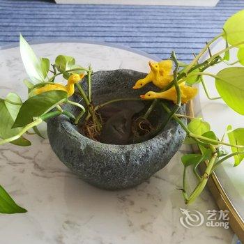 青岛七姐公寓酒店提供图片