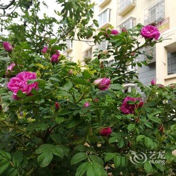 青岛七姐公寓酒店提供图片