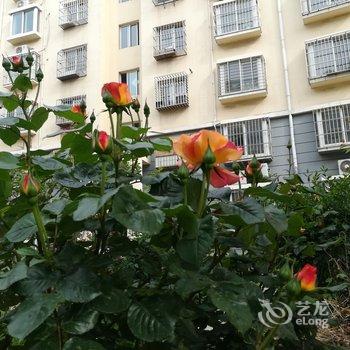 青岛七姐公寓酒店提供图片