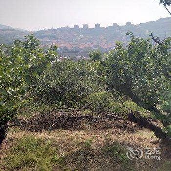 青岛L阳光明媚公寓酒店提供图片
