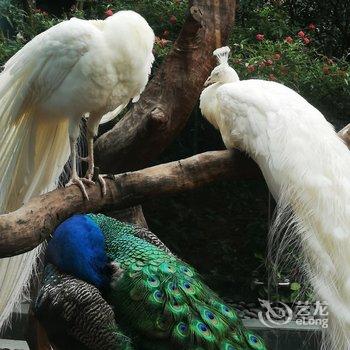 ���ݳ³̹�Ԣ�Ƶ��ṩͼƬ