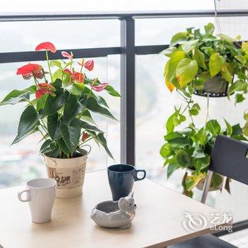 广州朵尔曼精品公寓酒店提供图片