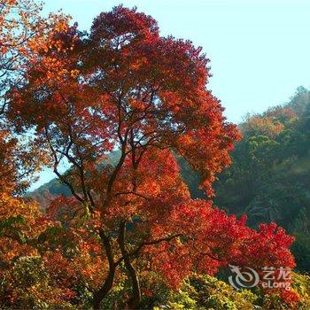 广州乐豪别墅(4路公交明月山溪总站分店)酒店提供图片
