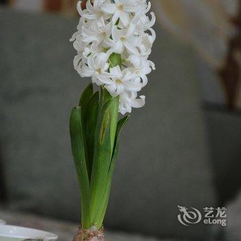 成都四季缘公寓酒店提供图片