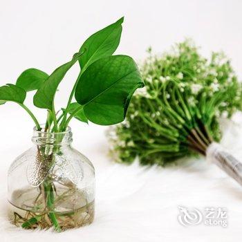 成都今日有房度假连锁客栈酒店提供图片