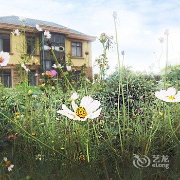 上海ghbsunny特色民宿(卫家河路分店)酒店提供图片