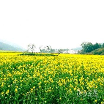 望山生活·婺源酒店提供图片