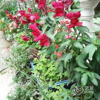 成都言午特色民宿酒店提供图片