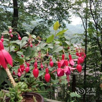 成都言午特色民宿酒店提供图片