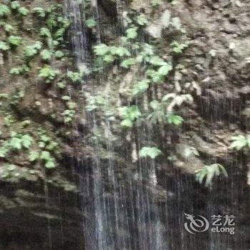 成都言午特色民宿酒店提供图片