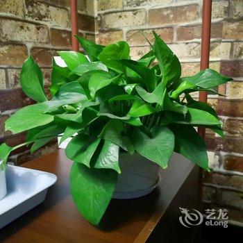 重庆花憩园客栈(童家桥正街分店)酒店提供图片