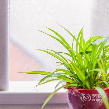 青岛泊乐叮叮客栈酒店提供图片