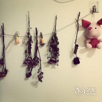 南宁雪兰兔子公寓酒店提供图片