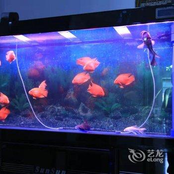 平度壹玖公寓(2号店)酒店提供图片