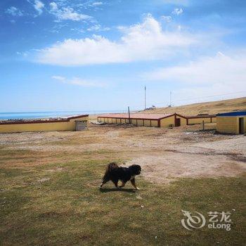 青海湖藏族秘岸客栈酒店提供图片