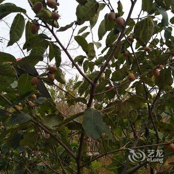 有你就好民宿(北京撞道口村店)酒店提供图片