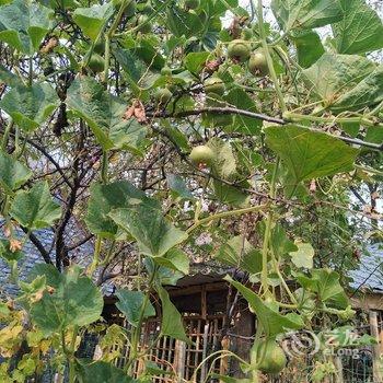 有你就好民宿(北京撞道口村店)酒店提供图片