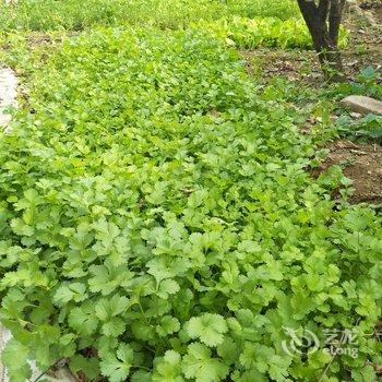 有你就好民宿(北京撞道口村店)酒店提供图片