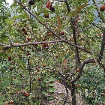 有你就好民宿(北京撞道口村店)酒店提供图片