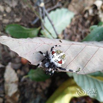 有你就好民宿(北京撞道口村店)酒店提供图片