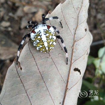 有你就好民宿(北京撞道口村店)酒店提供图片