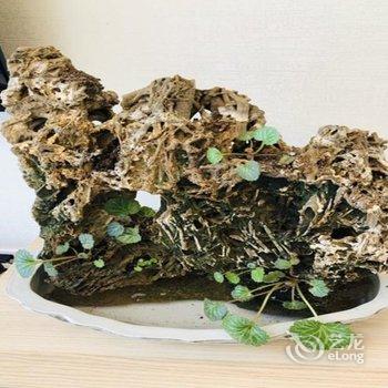 青岛海纳百川777公寓酒店提供图片