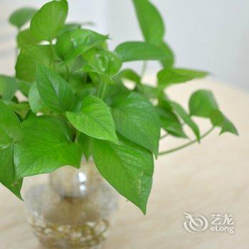 成都八爷公寓酒店提供图片