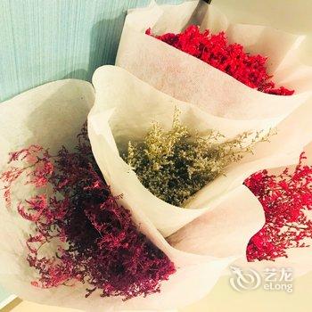 拾蒹公寓(西安7号店)酒店提供图片
