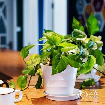 成都青山朴宿公寓酒店提供图片