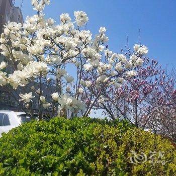青岛水莲公寓酒店提供图片