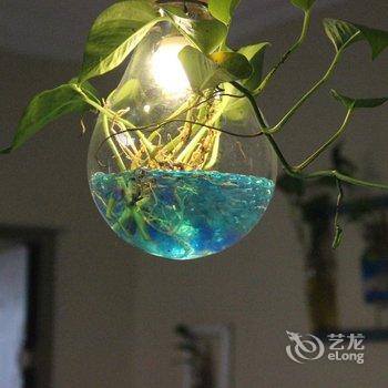 青岛风林火山公寓(金坛一路分店)酒店提供图片