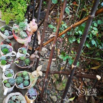 成都希希小宅公寓(6号店)酒店提供图片