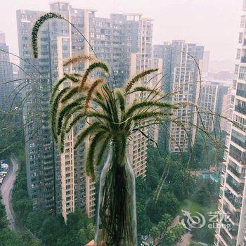 重庆天然呆公寓酒店提供图片