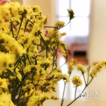 重庆云生雾海公寓(2号店)酒店提供图片