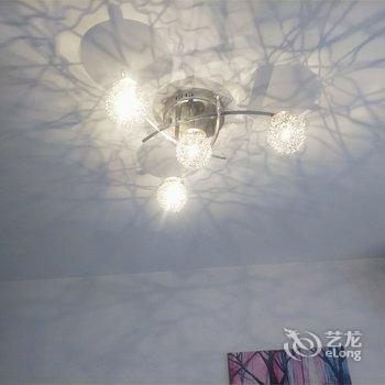 西安李增公寓酒店提供图片