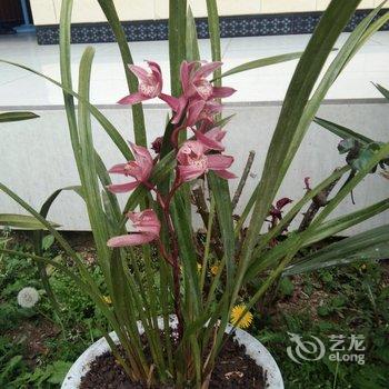 成都言午特色民宿酒店提供图片