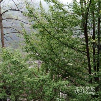 成都言午特色民宿酒店提供图片