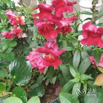 成都言午特色民宿酒店提供图片