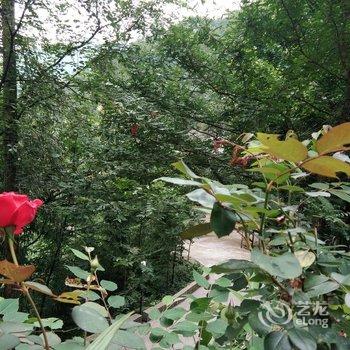 成都言午特色民宿酒店提供图片