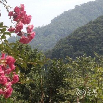 成都言午特色民宿酒店提供图片