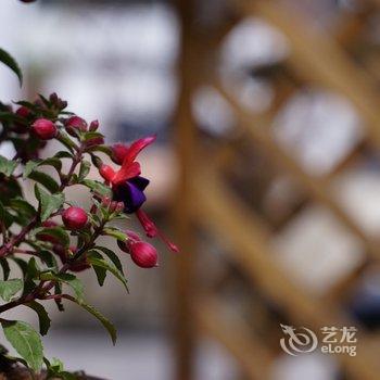 北京敏子的小院酒店提供图片